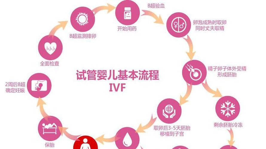 深圳三代供卵试管代生(深圳三代供卵试管代生中心)