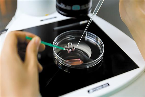 上海三代供卵试管公司【上海三代供卵试管公司:新生命的孕育者】