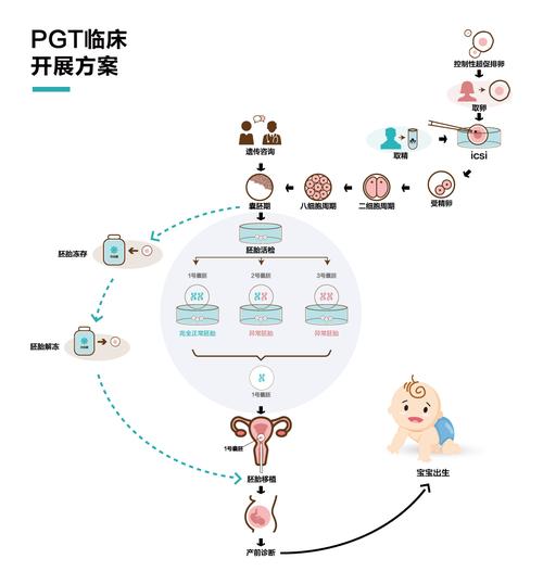 三代供卵试管_三代供卵试管技术的发展与应用