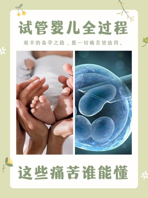 广州三代供卵试管宝宝【广州三代供卵试管宝宝:新生命的奇迹】
