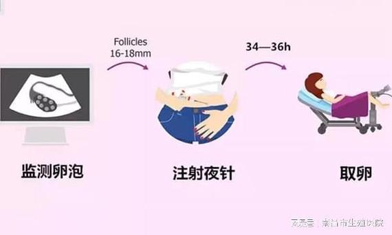 供卵试管婴儿多少钱流程(供卵试管婴儿费用及流程详解)