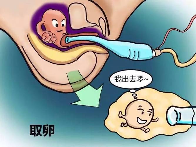 供卵试管代怀产子-供卵试管代怀产子：现代科技助力实现生育梦想