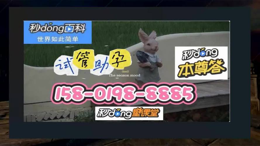 武汉三代供卵试管多少钱(武汉三代供卵试管-价格咨询)